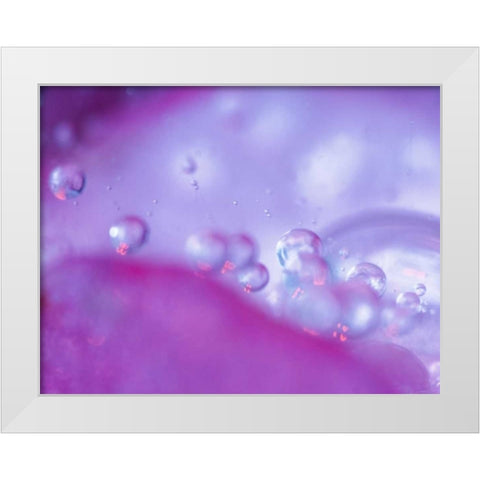 Dew drops on flower petal abstract White Modern Wood Framed Art Print by Rotenberg, Nancy