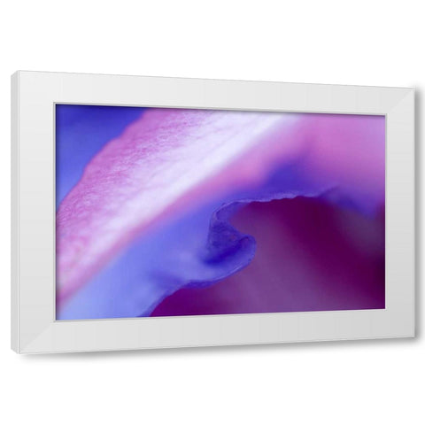 Petal Pattern White Modern Wood Framed Art Print by Rotenberg, Nancy