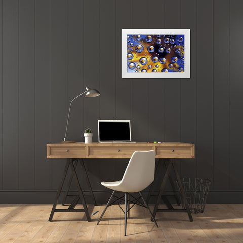 Arrowleaf balsamroot reflected in water drops White Modern Wood Framed Art Print by Kirkland, Dennis