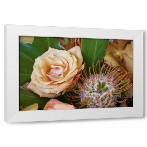 Flower arrangement with rose, orchid, and protea White Modern Wood Framed Art Print by Paulson, Don