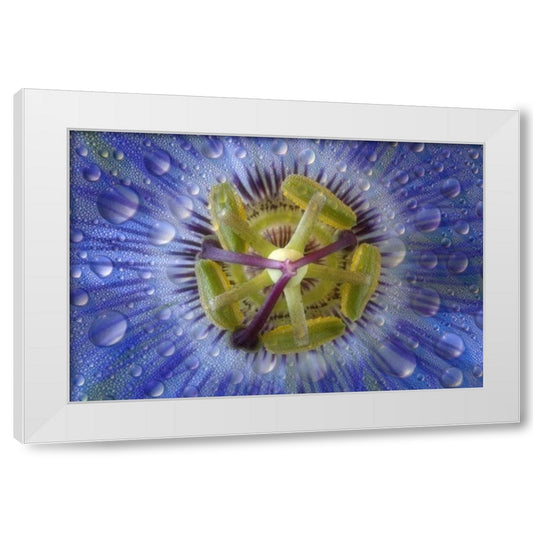 Perspective Image