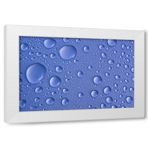 Close-up of frozen water drops White Modern Wood Framed Art Print by Paulson, Don