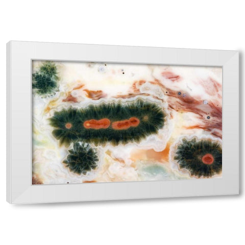 Ocean jasper stone found in Madagascar White Modern Wood Framed Art Print by Kirkland, Dennis