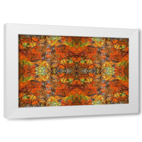Autumn tree abstract White Modern Wood Framed Art Print by Jaynes Gallery