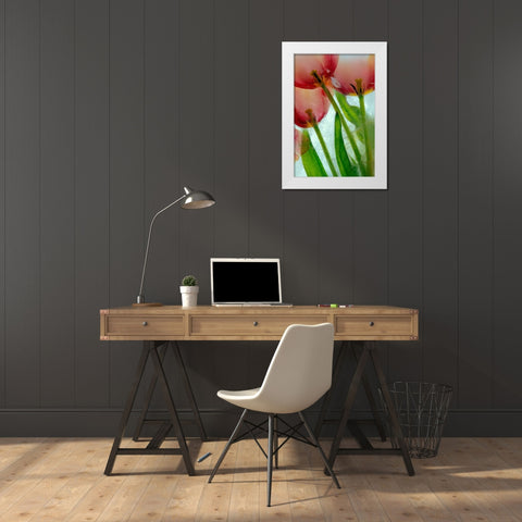 Tulips in ice White Modern Wood Framed Art Print by Jaynes Gallery