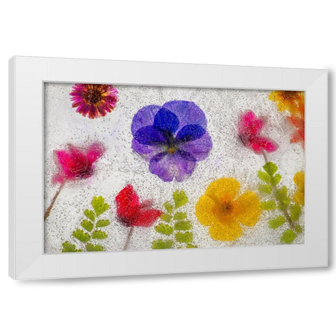 Mixed flowers in ice White Modern Wood Framed Art Print by Jaynes Gallery