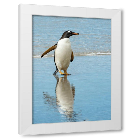 Antarctic-gentoo-penguin White Modern Wood Framed Art Print by Theodore, George