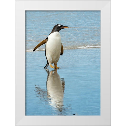 Antarctic-gentoo-penguin White Modern Wood Framed Art Print by Theodore, George