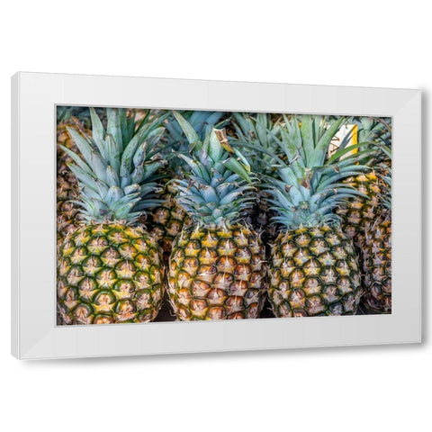 Sugarloaf pineapple White Modern Wood Framed Art Print by Engelbrecht, Jim