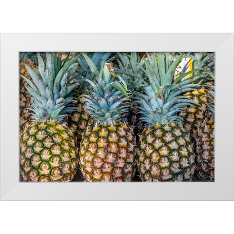 Sugarloaf pineapple White Modern Wood Framed Art Print by Engelbrecht, Jim
