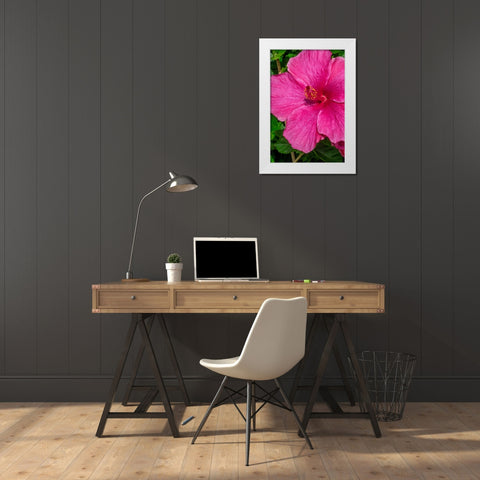 Hibiscus White Modern Wood Framed Art Print by Engelbrecht, Jim