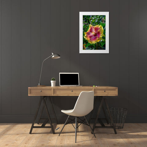 Hibiscus flower White Modern Wood Framed Art Print by Engelbrecht, Jim