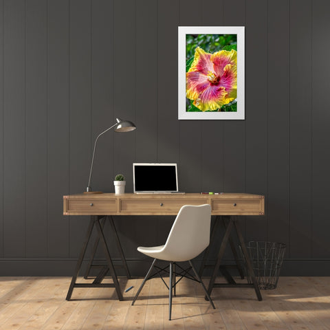 Hibiscus flower White Modern Wood Framed Art Print by Engelbrecht, Jim
