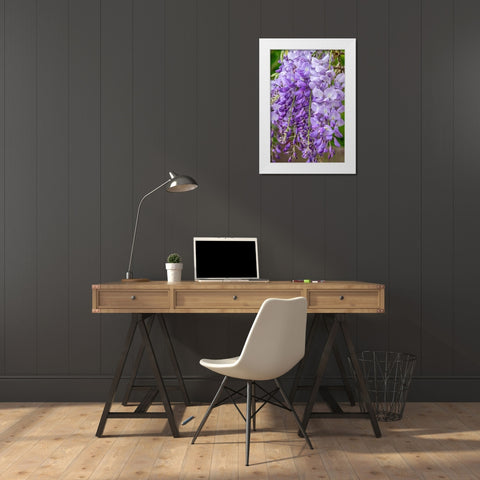 Wisteria White Modern Wood Framed Art Print by Engelbrecht, Jim