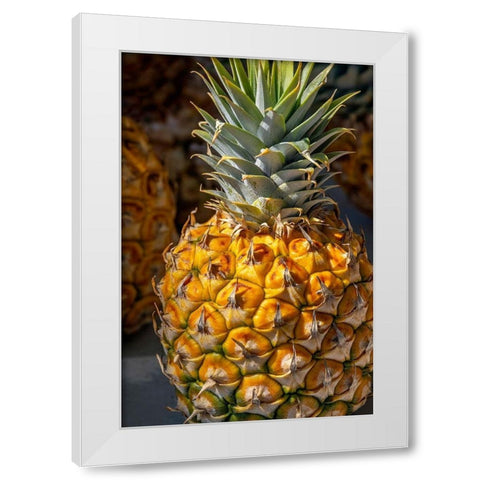 Sugarloaf pineapple White Modern Wood Framed Art Print by Engelbrecht, Lisa S.