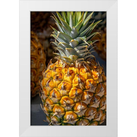 Sugarloaf pineapple White Modern Wood Framed Art Print by Engelbrecht, Lisa S.