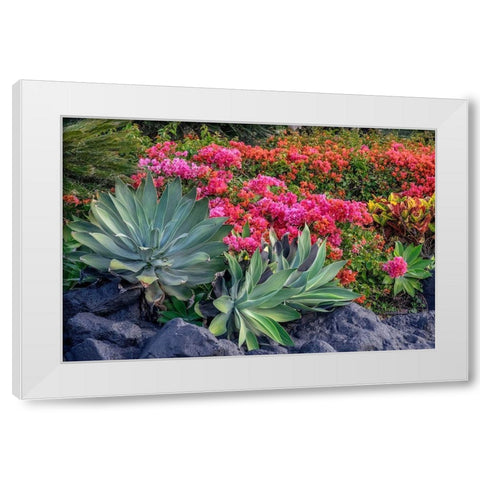 Bougainvillea in tropical garden White Modern Wood Framed Art Print by Engelbrecht, Lisa S.