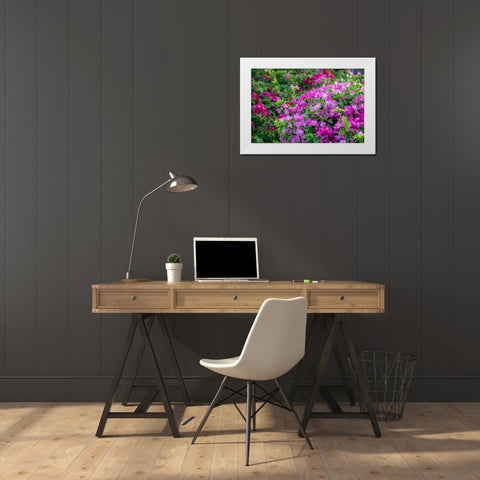 Bougainvillea in tropical garden White Modern Wood Framed Art Print by Engelbrecht, Lisa S.