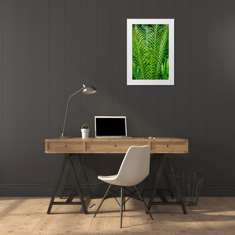 Fern White Modern Wood Framed Art Print by Engelbrecht, Lisa S.