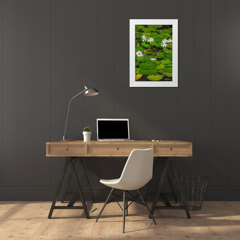 Frogs among Woods White Knight lilies White Modern Wood Framed Art Print by Engelbrecht, Lisa S.
