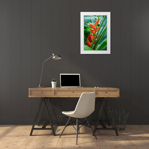 Heliconia White Modern Wood Framed Art Print by Engelbrecht, Lisa S.