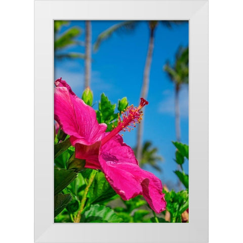 Hibiscus White Modern Wood Framed Art Print by Engelbrecht, Lisa S.