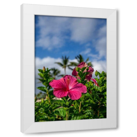 Hibiscus White Modern Wood Framed Art Print by Engelbrecht, Lisa S.