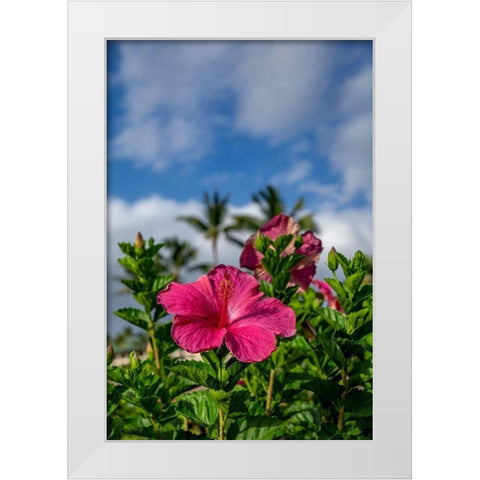Hibiscus White Modern Wood Framed Art Print by Engelbrecht, Lisa S.