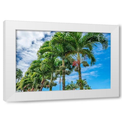 Manila Palm trees White Modern Wood Framed Art Print by Engelbrecht, Lisa S.