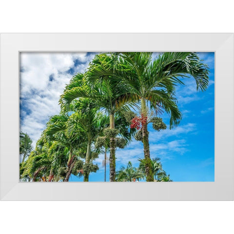 Manila Palm trees White Modern Wood Framed Art Print by Engelbrecht, Lisa S.