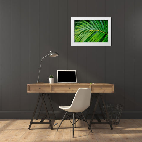 palm frond White Modern Wood Framed Art Print by Engelbrecht, Lisa S.