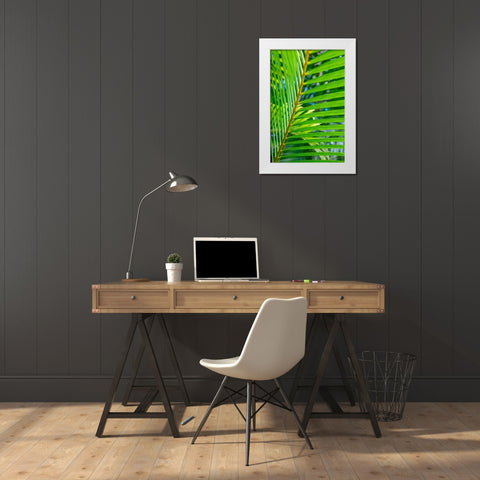 Palm frond White Modern Wood Framed Art Print by Engelbrecht, Lisa S.
