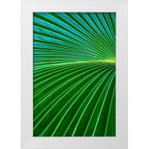 Palm frond White Modern Wood Framed Art Print by Engelbrecht, Lisa S.