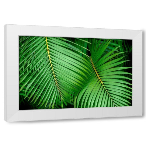 Palm fronds White Modern Wood Framed Art Print by Engelbrecht, Lisa S.