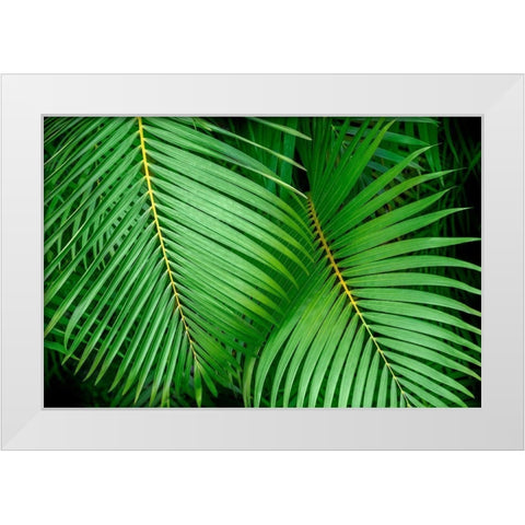 Palm fronds White Modern Wood Framed Art Print by Engelbrecht, Lisa S.