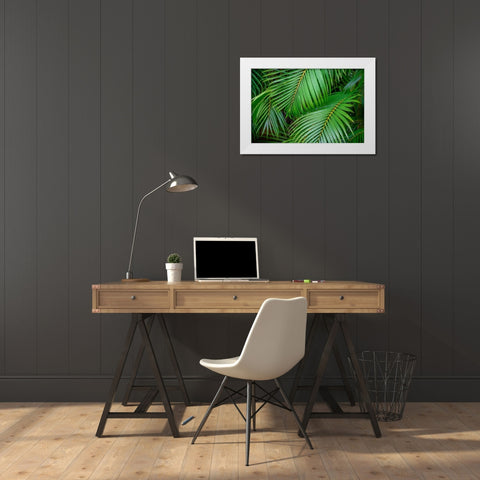 Palm fronds White Modern Wood Framed Art Print by Engelbrecht, Lisa S.