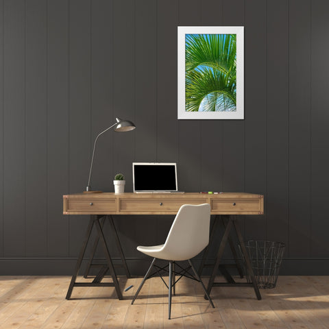 Palm fronds White Modern Wood Framed Art Print by Engelbrecht, Lisa S.