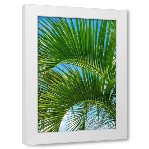 Palm fronds White Modern Wood Framed Art Print by Engelbrecht, Lisa S.