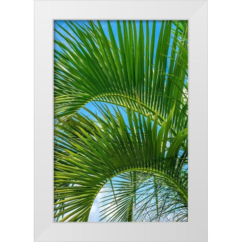 Palm fronds White Modern Wood Framed Art Print by Engelbrecht, Lisa S.