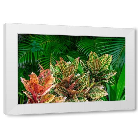 Palm fronds and Croton plants White Modern Wood Framed Art Print by Engelbrecht, Lisa S.