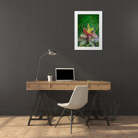 Palm fronds and Croton plants White Modern Wood Framed Art Print by Engelbrecht, Lisa S.