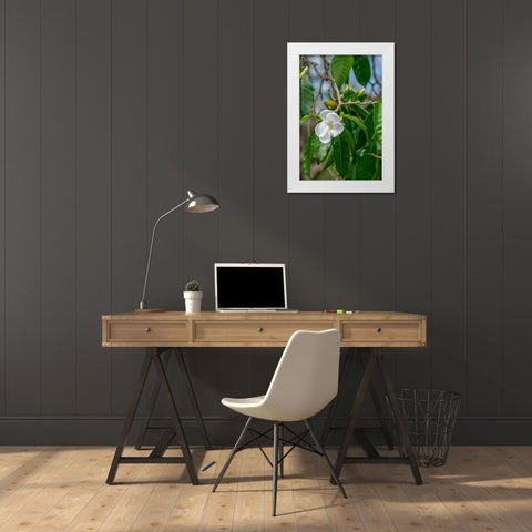 Tabernaemontana flower White Modern Wood Framed Art Print by Engelbrecht, Lisa S.