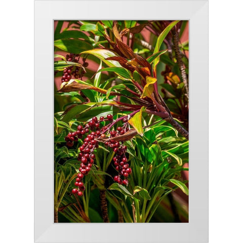 Ti Plant berries White Modern Wood Framed Art Print by Engelbrecht, Lisa S.