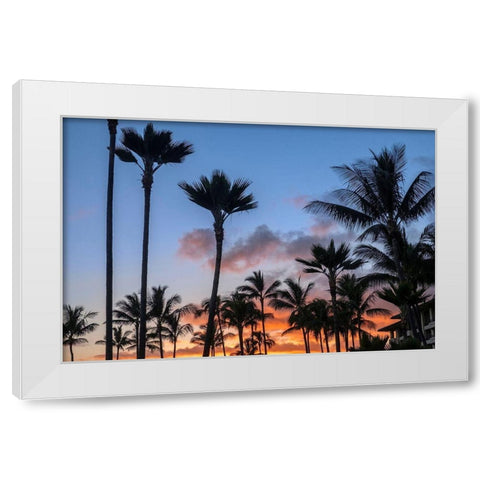 Tropical sunset White Modern Wood Framed Art Print by Engelbrecht, Lisa S.