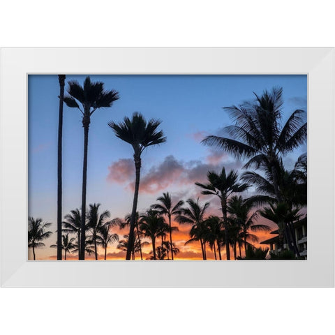 Tropical sunset White Modern Wood Framed Art Print by Engelbrecht, Lisa S.