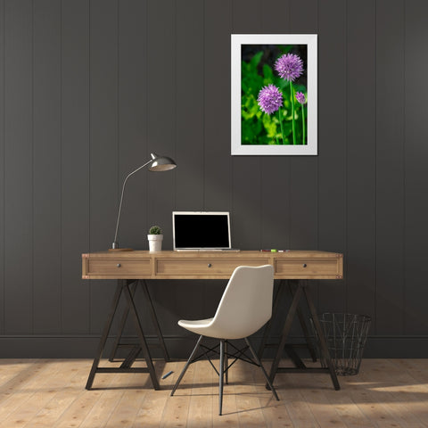 Chives White Modern Wood Framed Art Print by Engelbrecht, Lisa S.