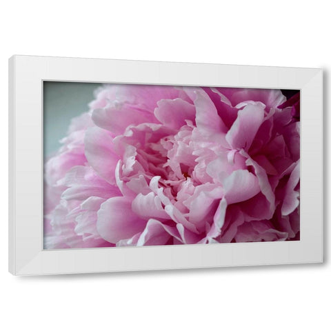 Pink Peony White Modern Wood Framed Art Print by Engelbrecht, Lisa S.
