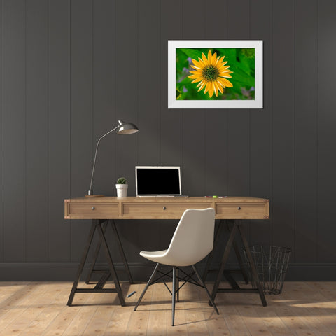 Yellow Coneflower White Modern Wood Framed Art Print by Engelbrecht, Lisa S.