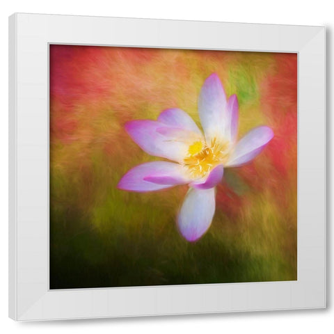 A photo painting of a waterlily White Modern Wood Framed Art Print by Haddad, Sheila