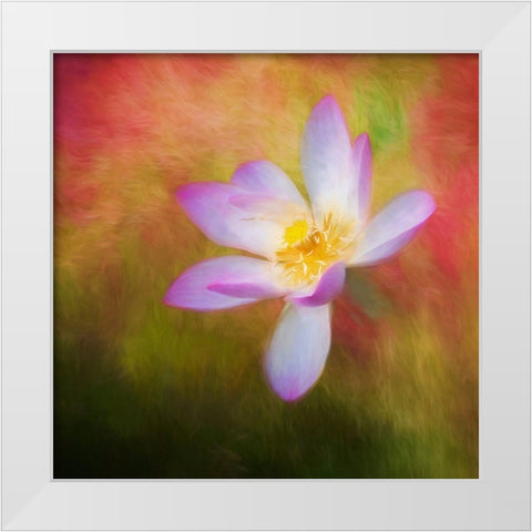 A photo painting of a waterlily White Modern Wood Framed Art Print by Haddad, Sheila